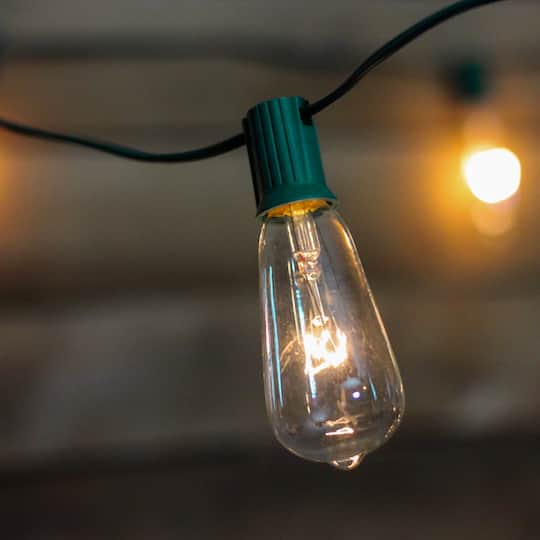 10ct. Clear Edison Glass Patio String Lights with Green Wire